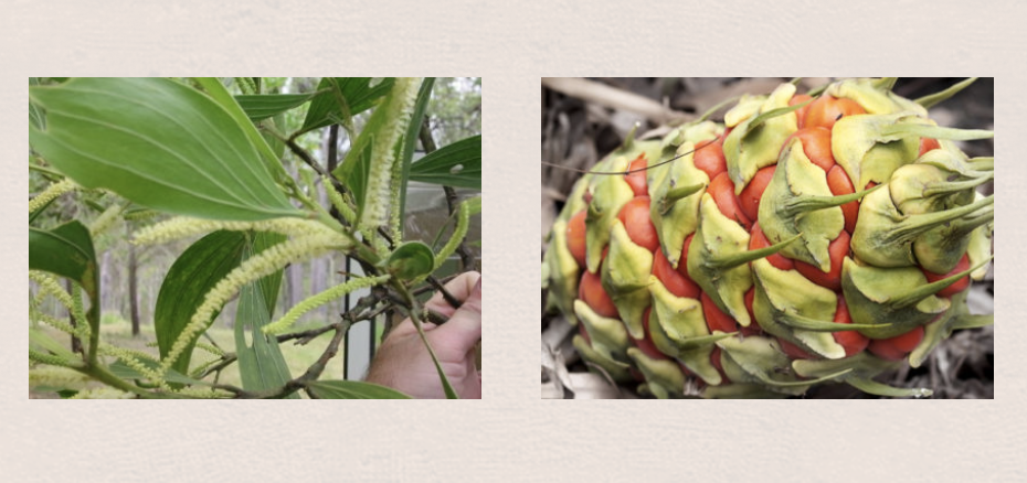 Screen-Shot-2023-06-12-at-123209-pm