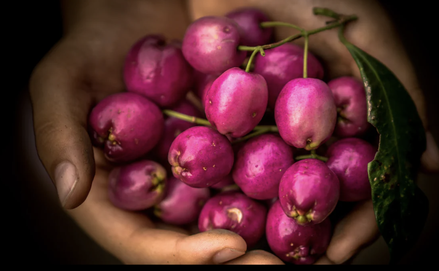 Screen-Shot-2023-06-16-at-114208-am