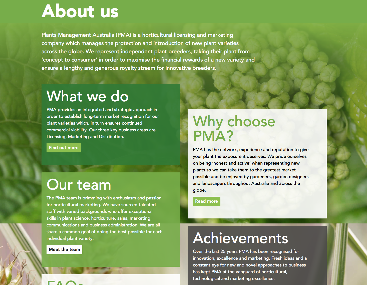 Screen-Shot-2023-04-25-at-60219-pm