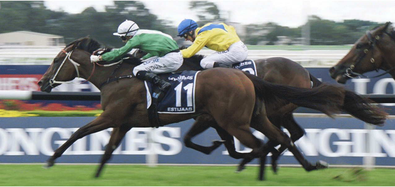 Screen-Shot-2023-05-30-at-10129-pm