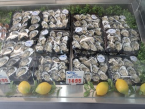 Screen-Shot-2023-06-03-at-95936-am