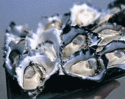 Screen-Shot-2023-06-09-at-31808-pm