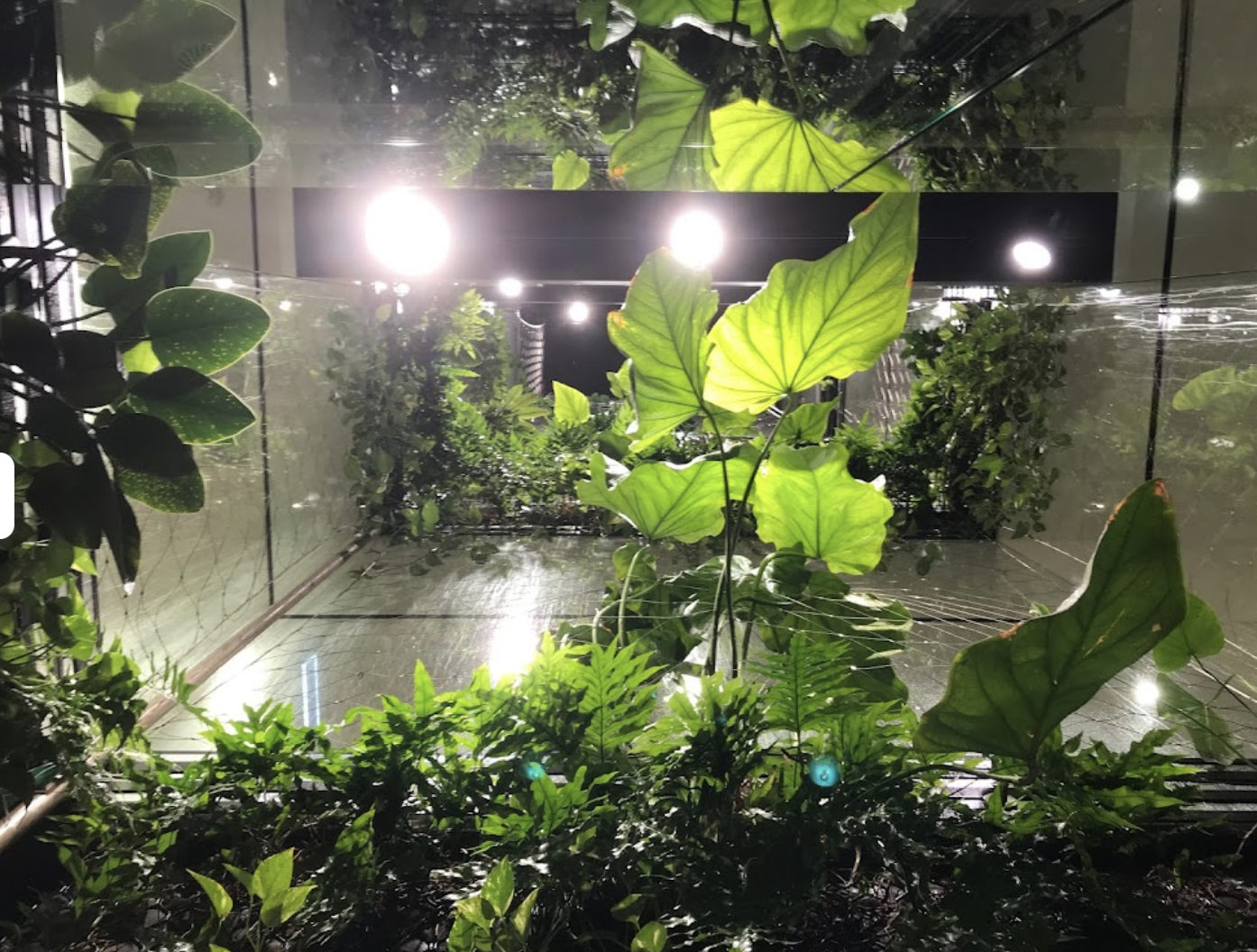 Screen-Shot-2023-06-12-at-93328-am