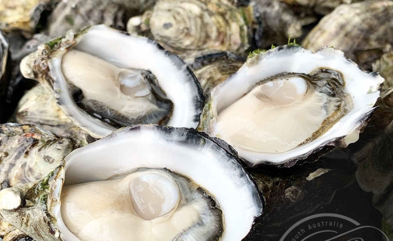 Screen-Shot-2023-06-12-at-113944-am