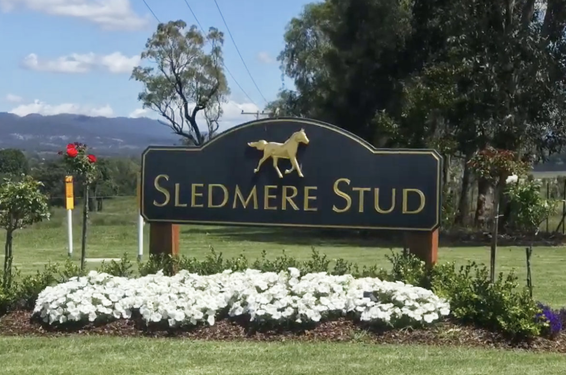 Screen-Shot-2023-06-12-at-114109-am