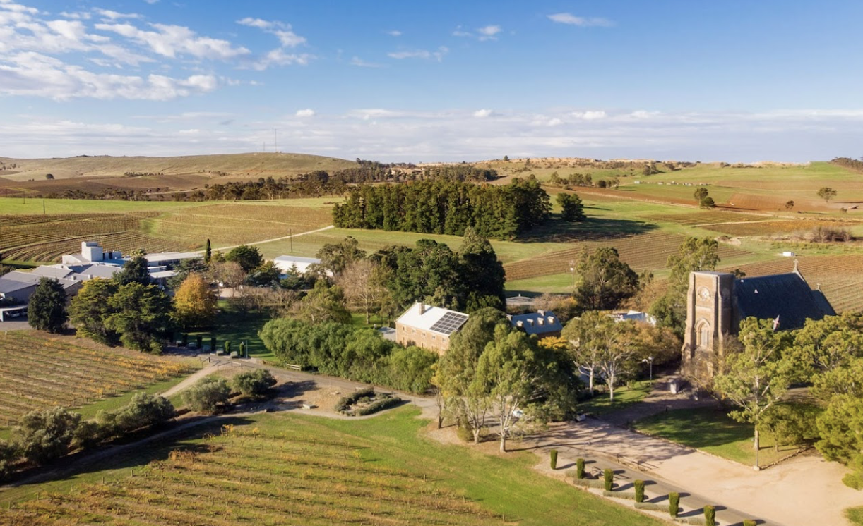 Screen-Shot-2023-06-12-at-121153-pm