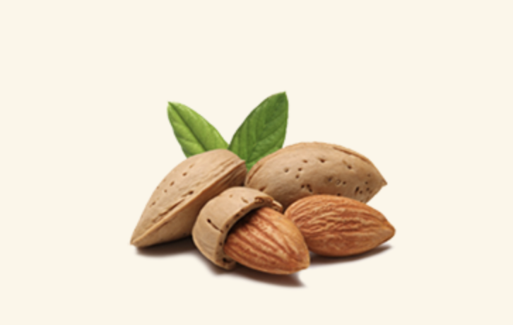 Screen-Shot-2023-06-12-at-122601-pm