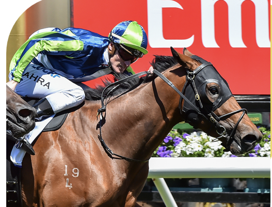 Screen-Shot-2023-06-12-at-122824-pm