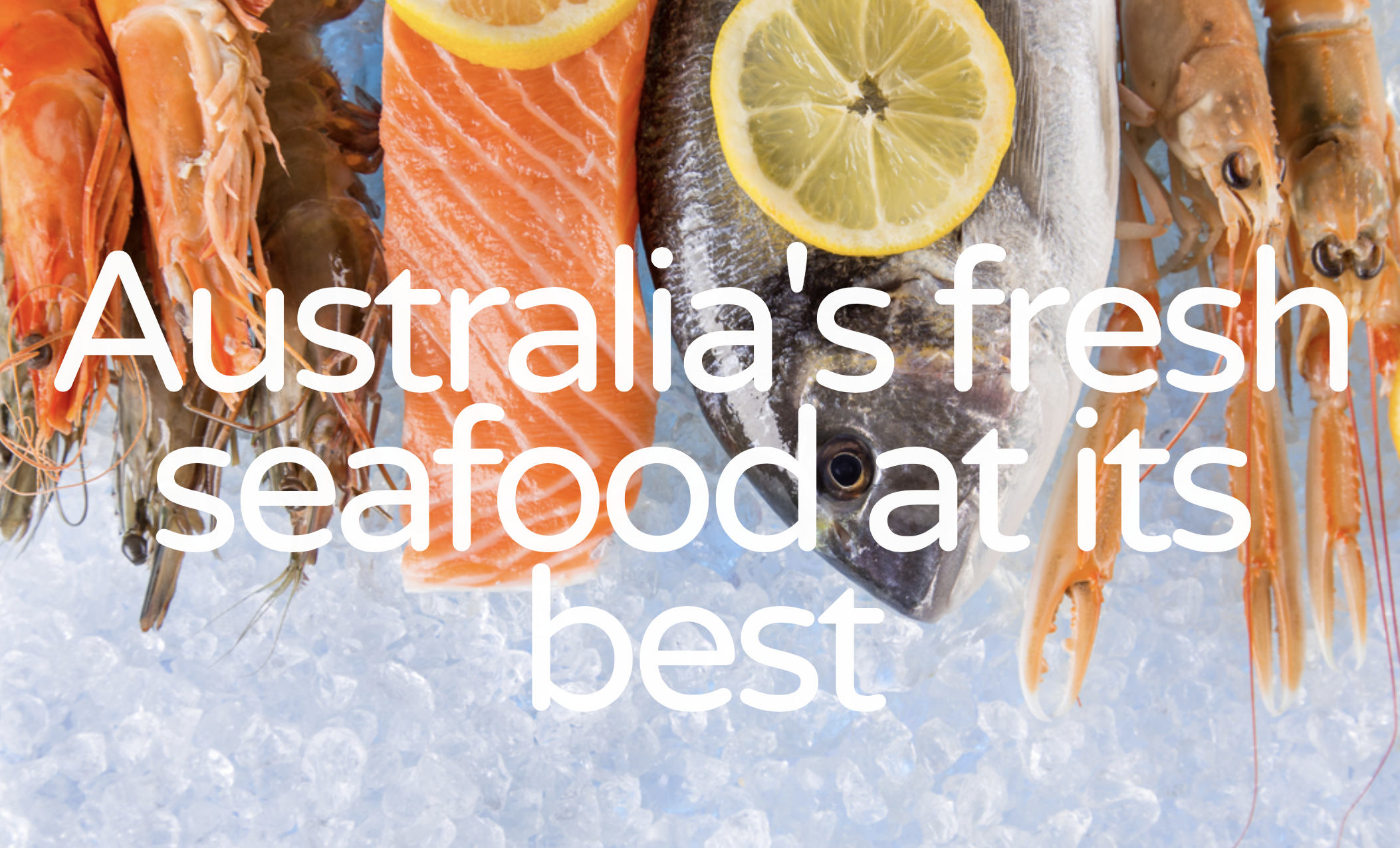 Screen-Shot-2023-06-12-at-124633-pm