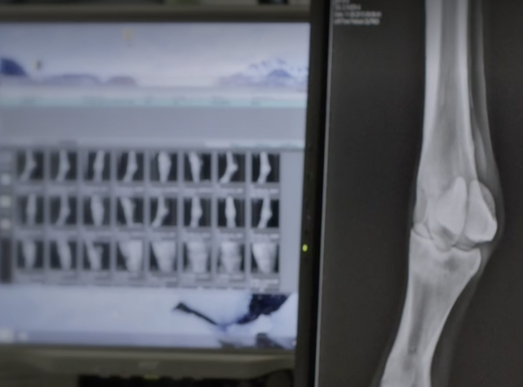 Screen-Shot-2023-06-12-at-125743-pm