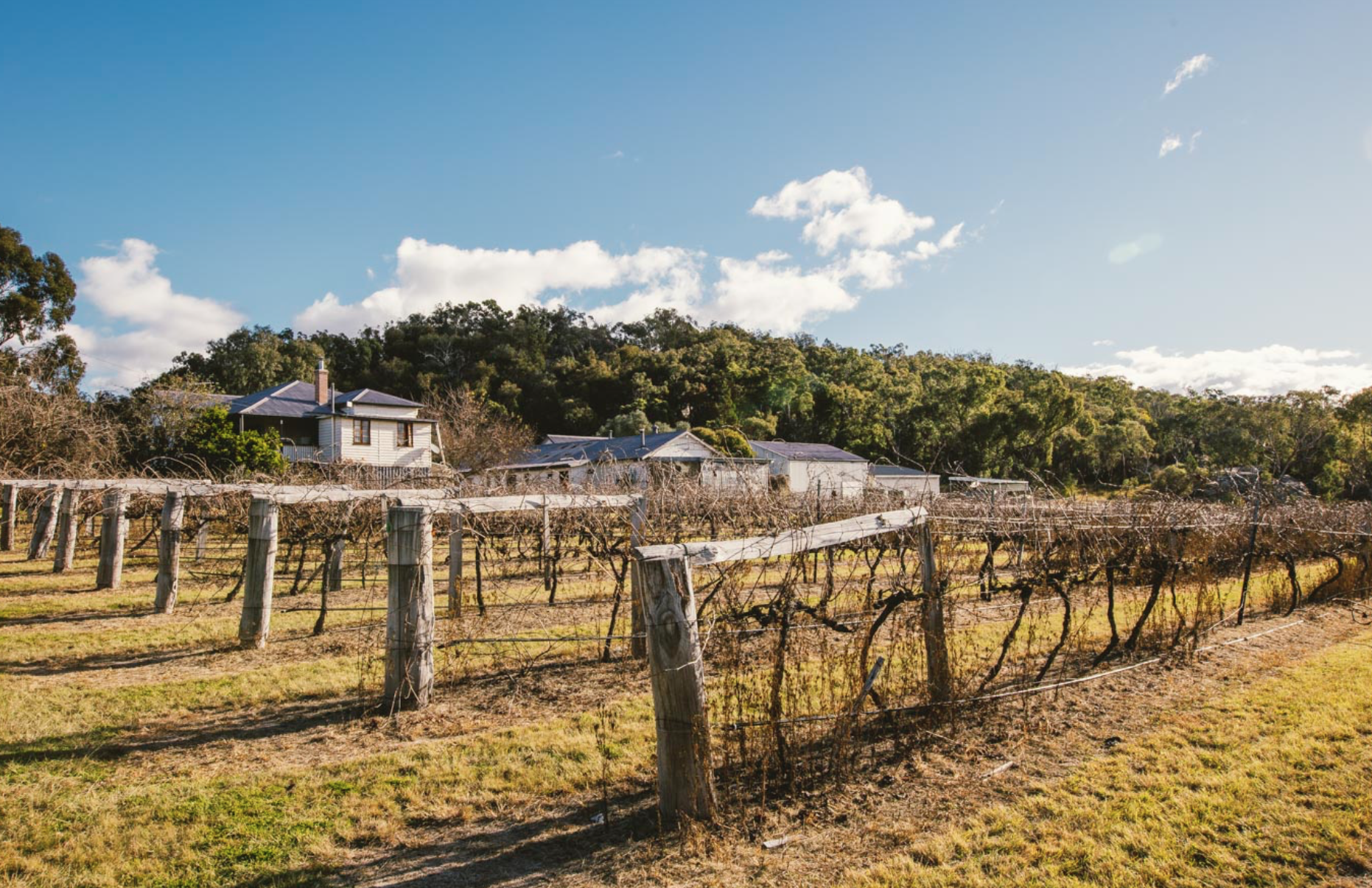 Screen-Shot-2023-06-12-at-45239-pm