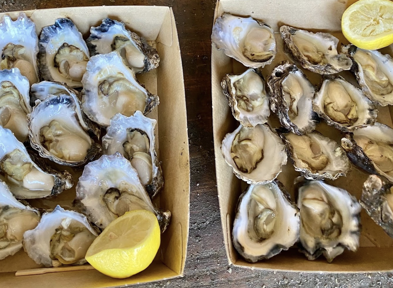 Screen-Shot-2023-06-13-at-23510-pm