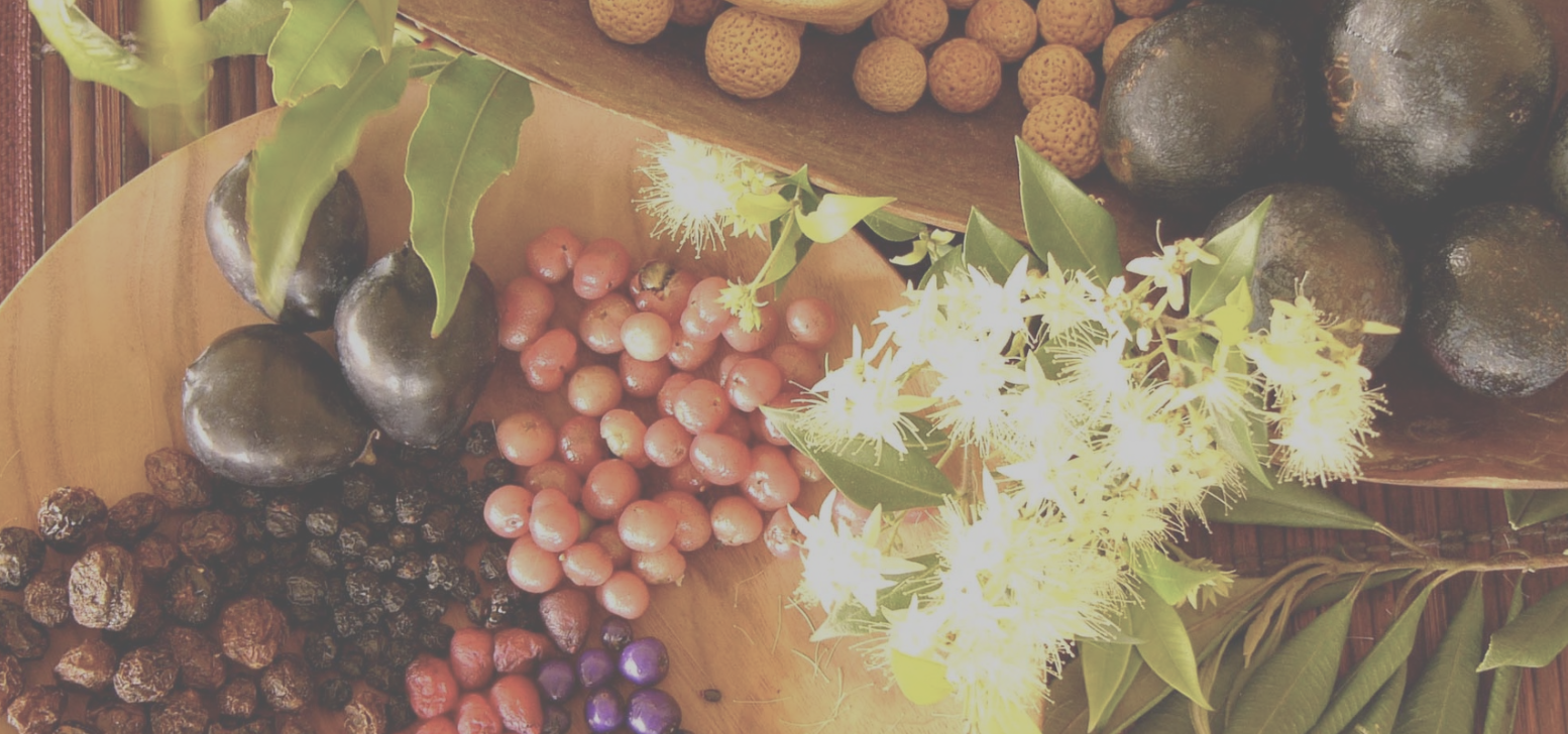 Screen-Shot-2023-06-15-at-63352-pm