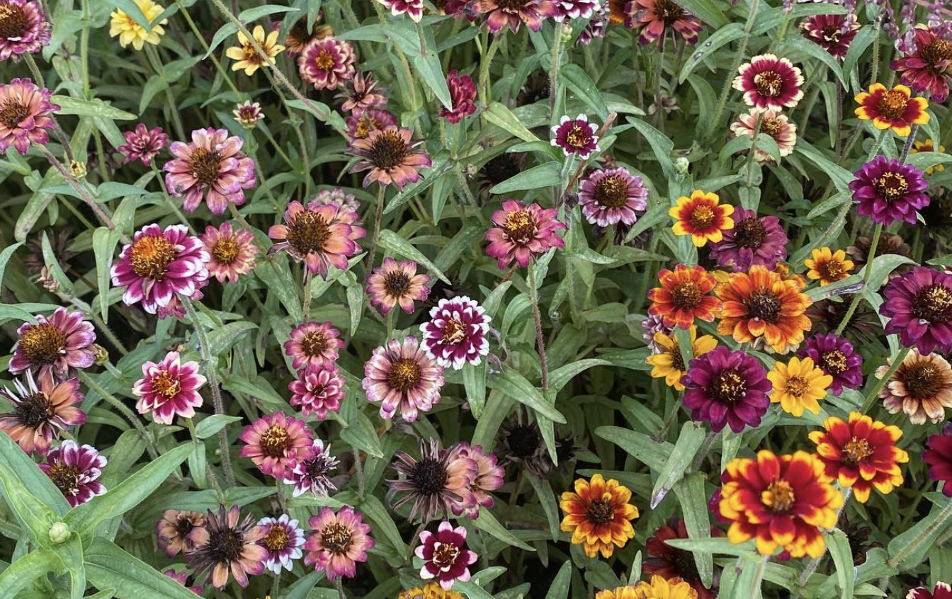 Screen-Shot-2023-06-15-at-60816-pm