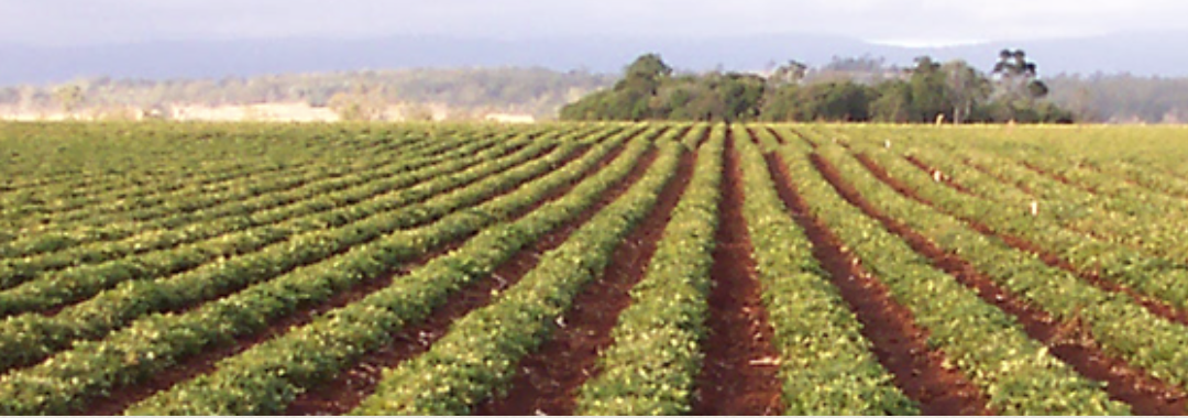 Screen-Shot-2023-06-16-at-92649-am