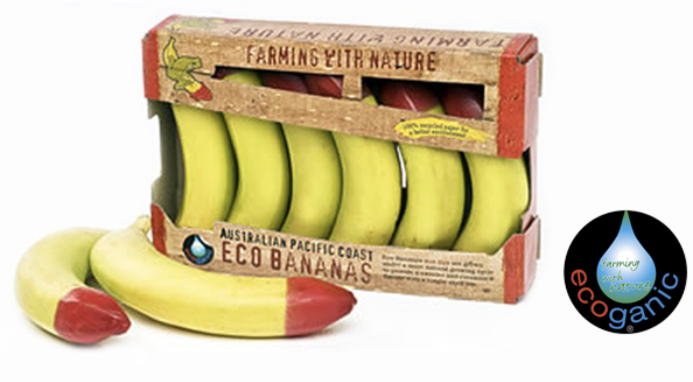 Screen-Shot-2023-06-16-at-111425-am