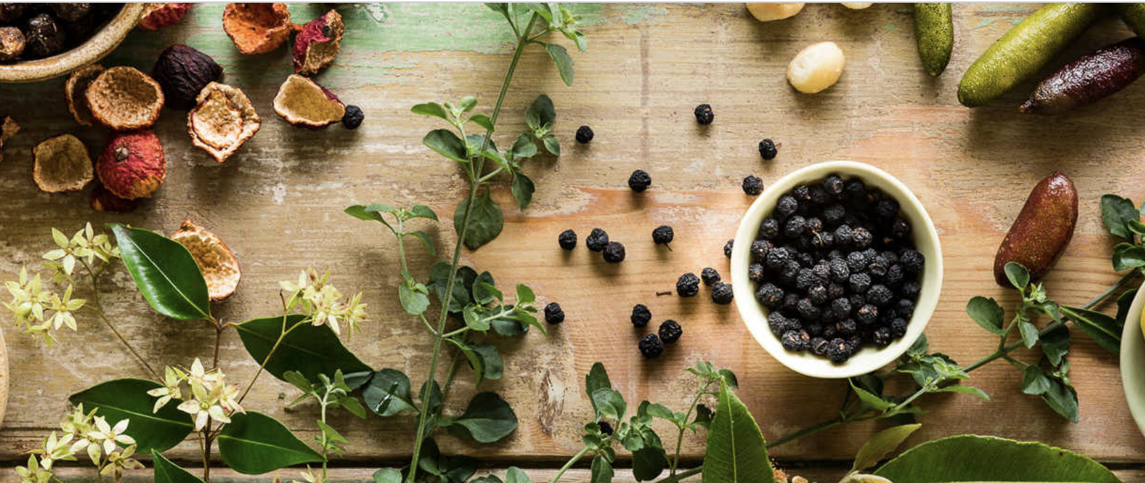 Screen-Shot-2023-06-16-at-115407-am