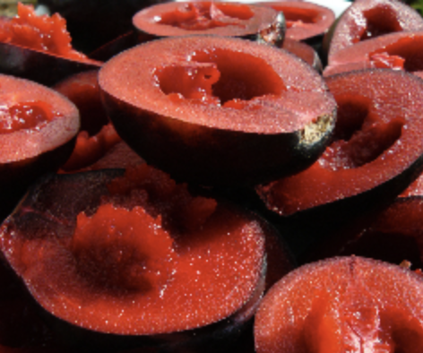 Screen-Shot-2023-06-17-at-115511-am