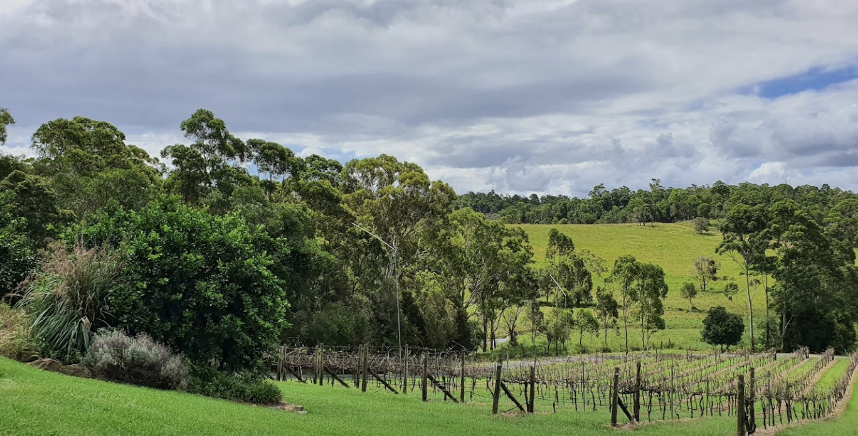 Screen-Shot-2023-06-17-at-121425-pm