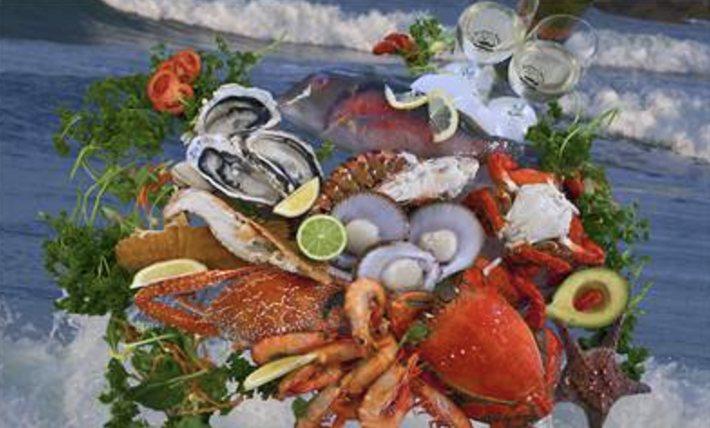 Screen-Shot-2023-06-17-at-121558-pm