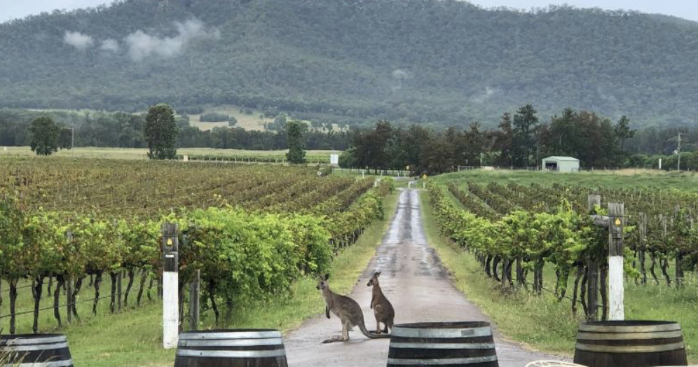 Screen-Shot-2023-06-17-at-23422-pm