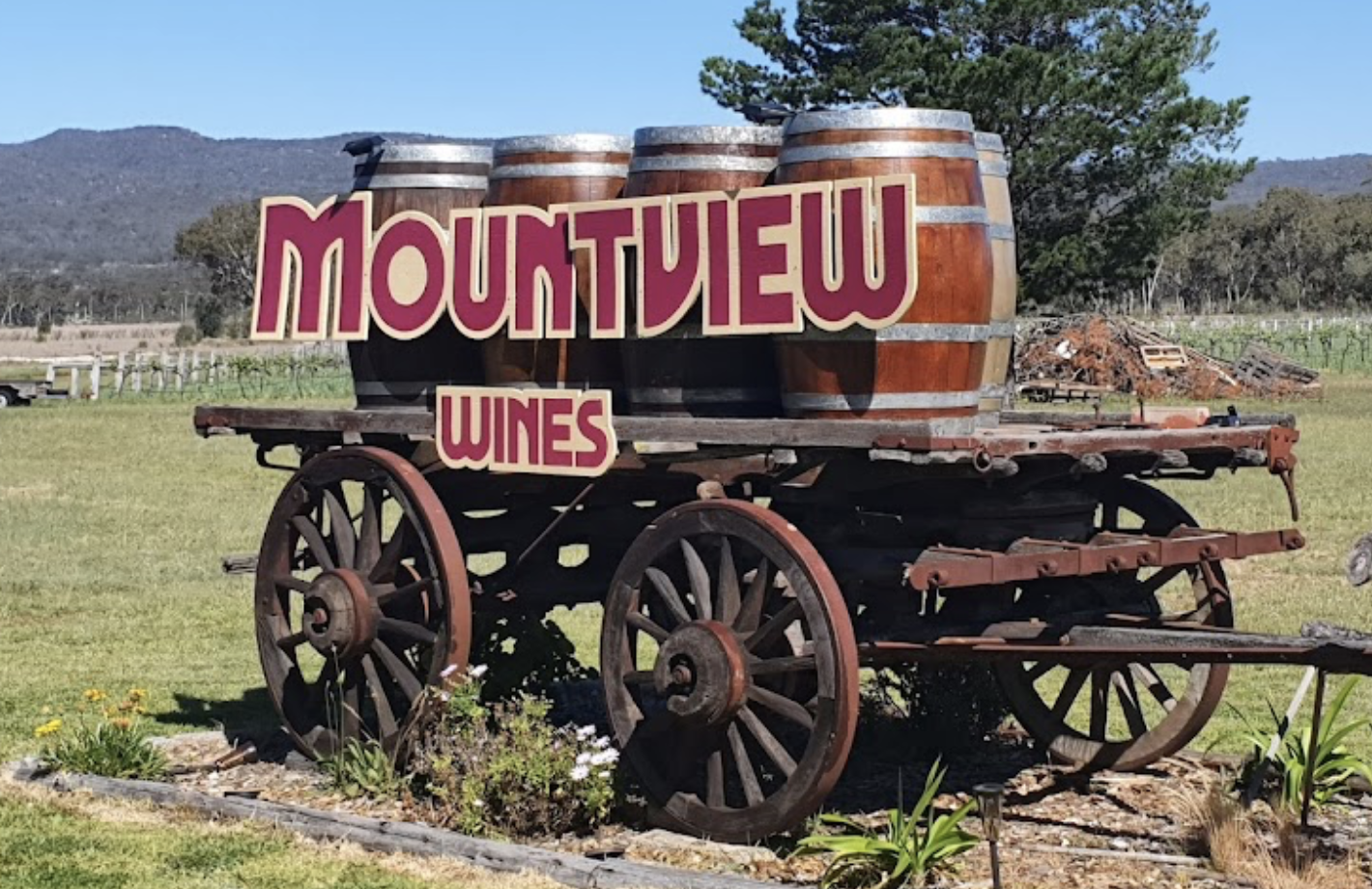 Screen-Shot-2023-06-17-at-31359-pm