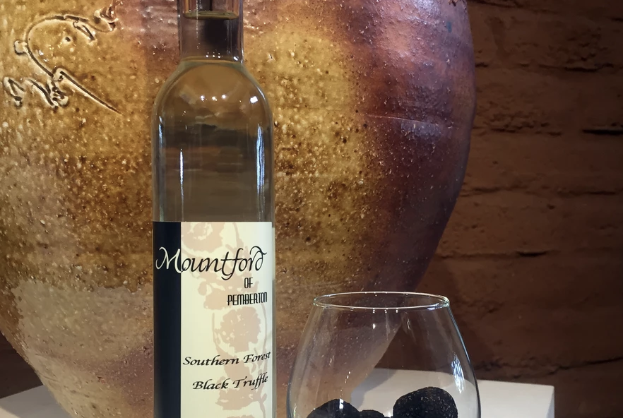 Screen-Shot-2023-06-17-at-31951-pm