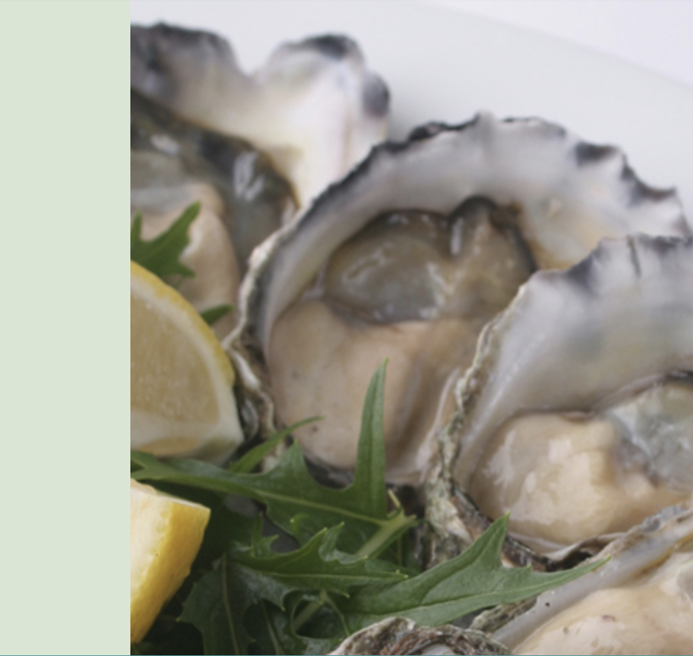 Screen-Shot-2023-06-17-at-33528-pm