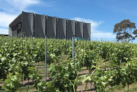 Screen-Shot-2023-06-17-at-34154-pm