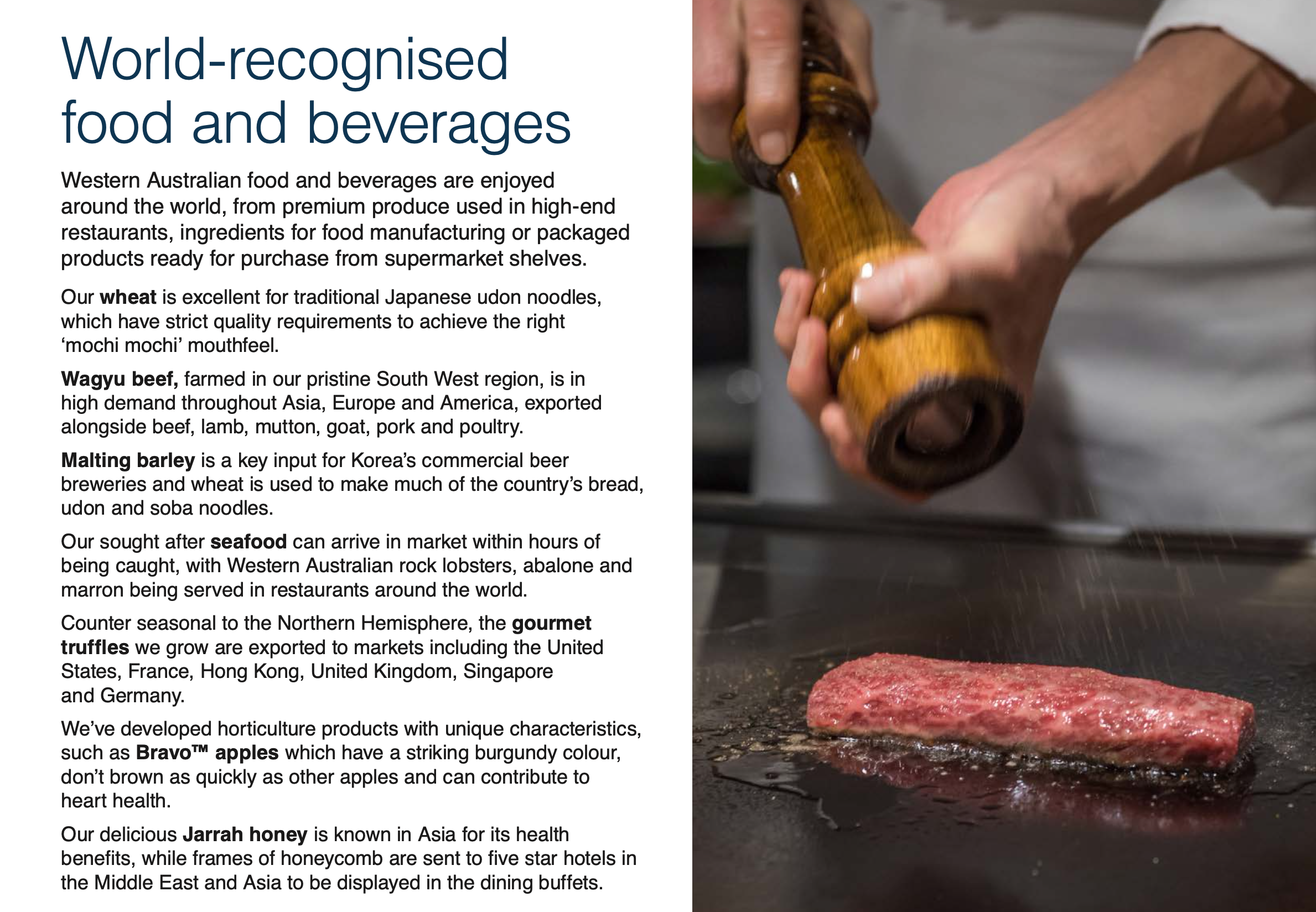 Screen-Shot-2023-06-22-at-82524-am