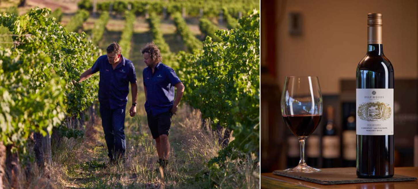 Screen-Shot-2023-06-22-at-91133-am