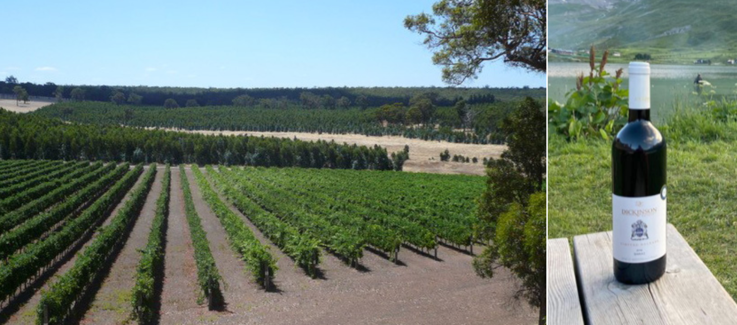 Screen-Shot-2023-06-22-at-91415-am