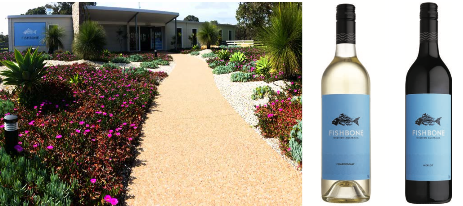 Screen-Shot-2023-06-22-at-92451-am