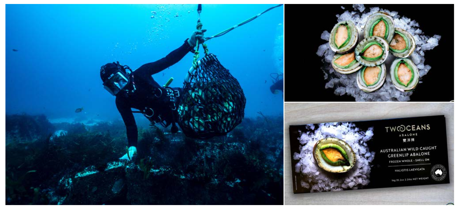 Screen-Shot-2023-06-22-at-32452-pm