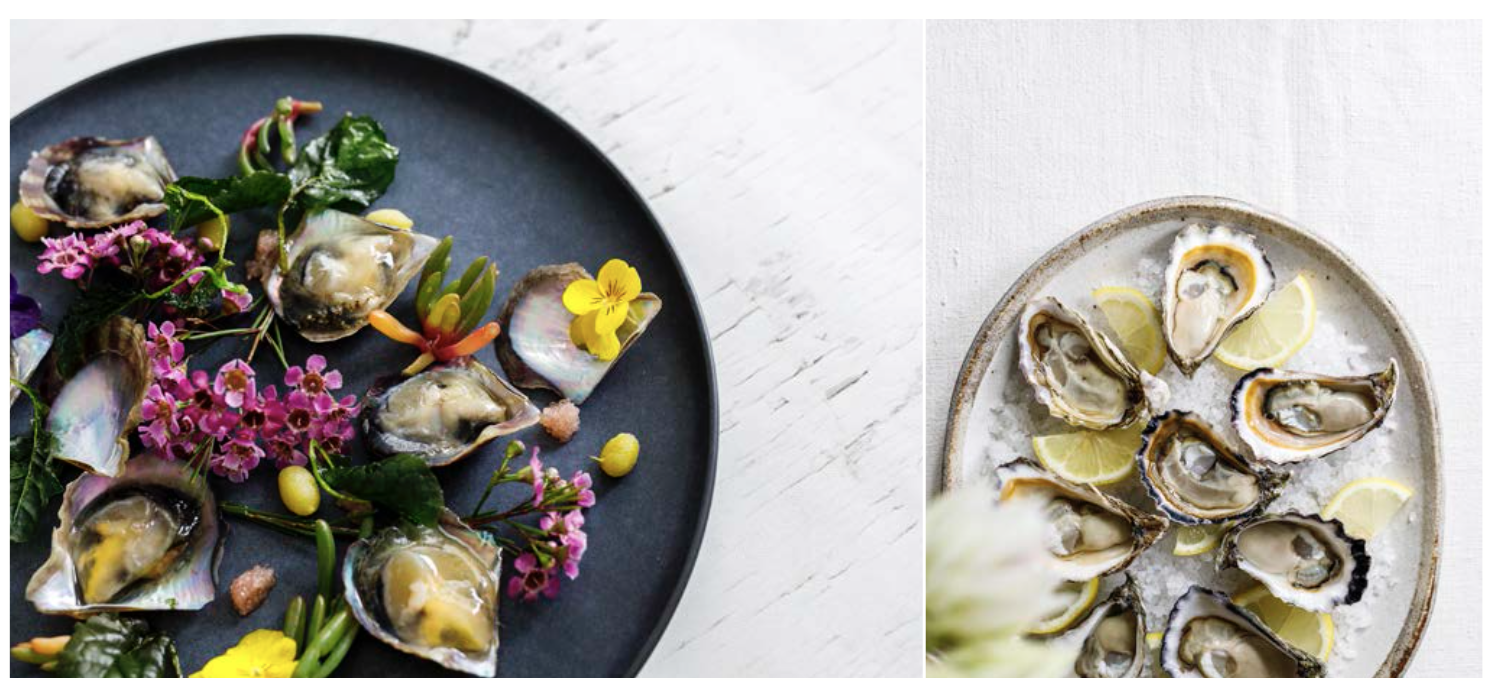 Screen-Shot-2023-06-22-at-32849-pm