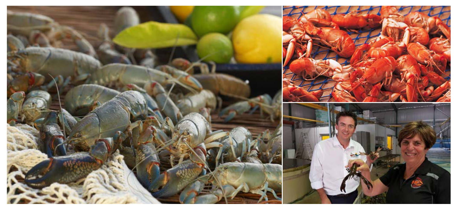 Screen-Shot-2023-06-22-at-33631-pm