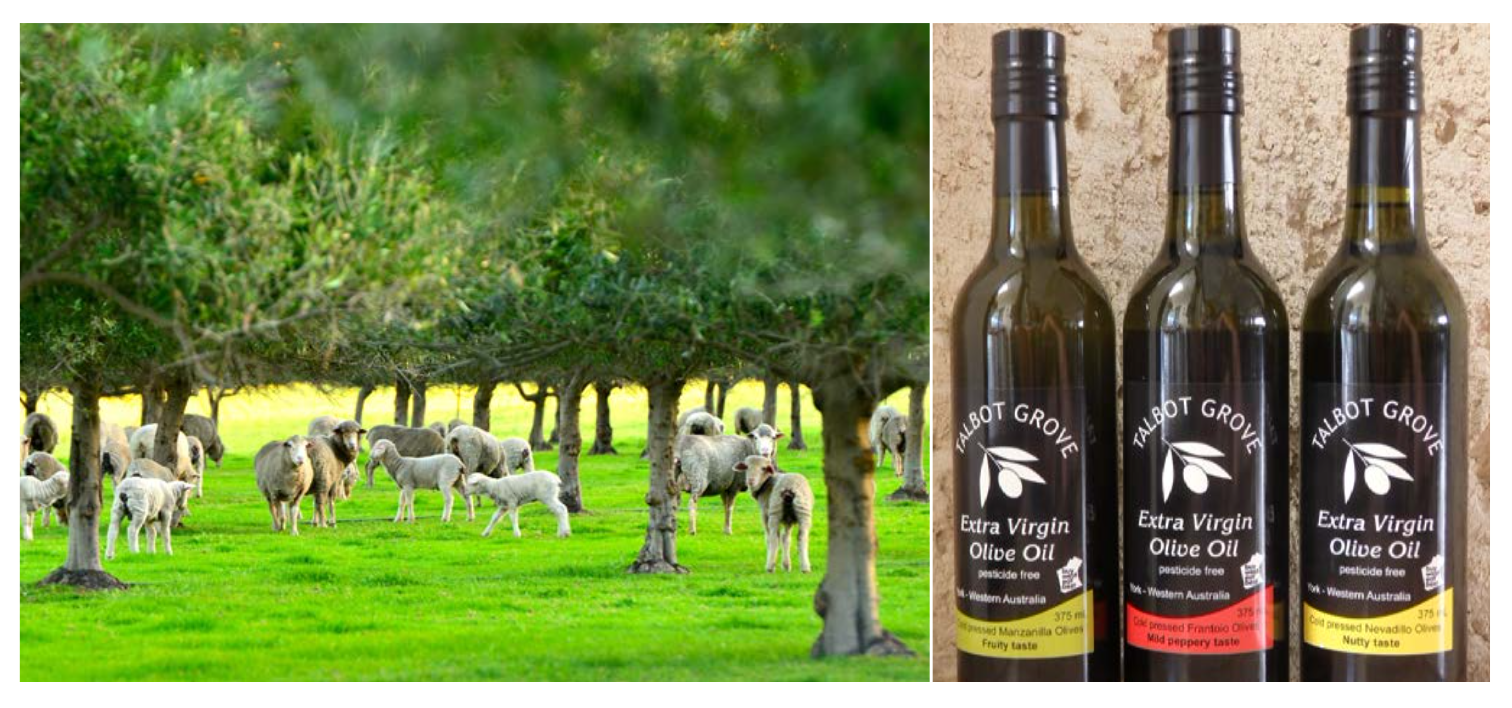 Screen-Shot-2023-06-22-at-34218-pm