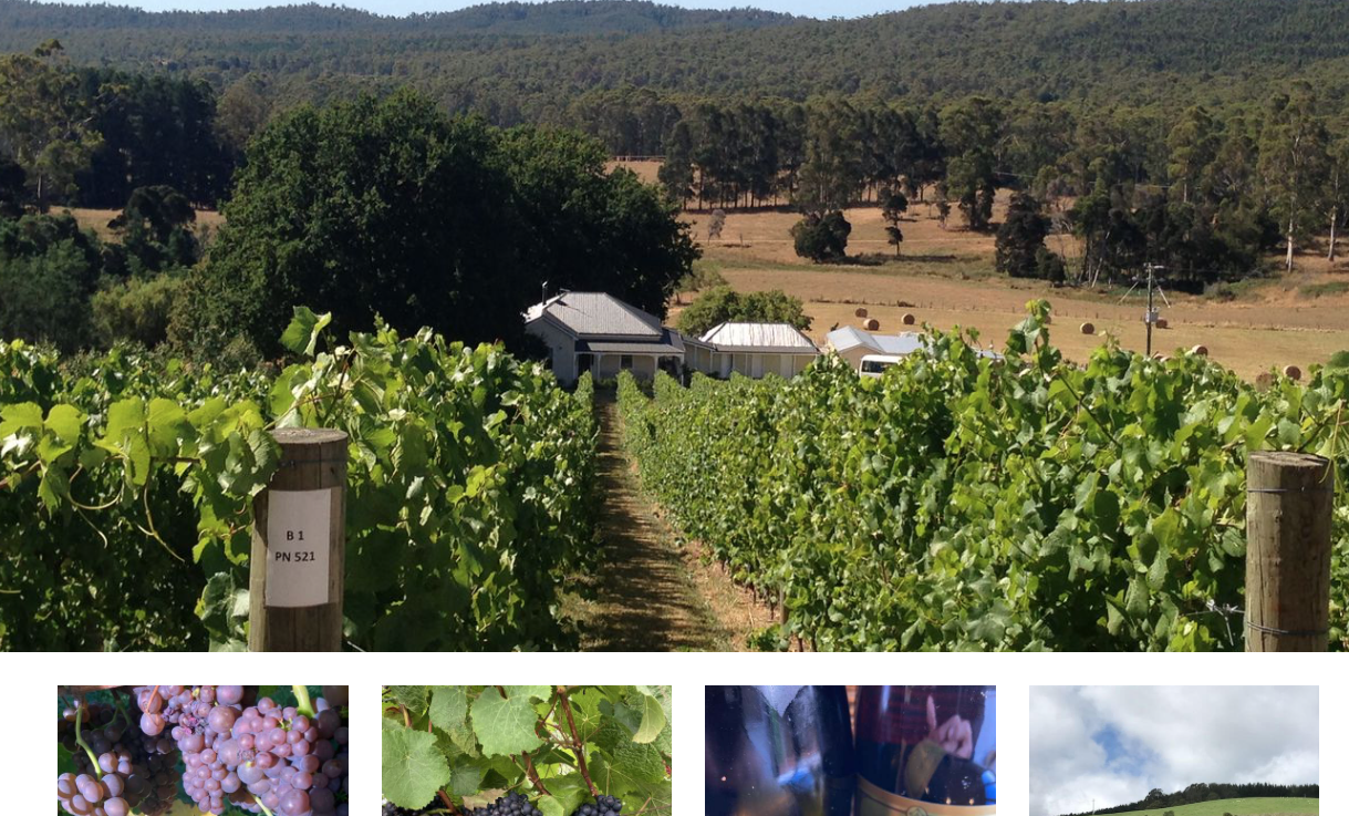 Screen-Shot-2023-04-25-at-102423-am