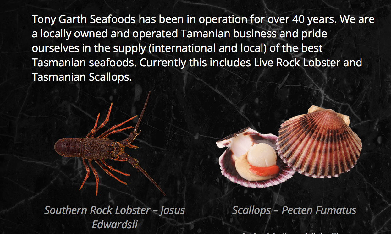 Screen-Shot-2023-04-25-at-102617-am