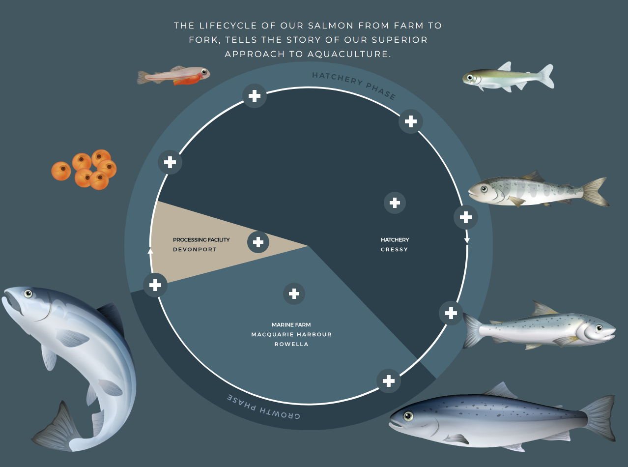 Screen-Shot-2023-04-25-at-105028-am