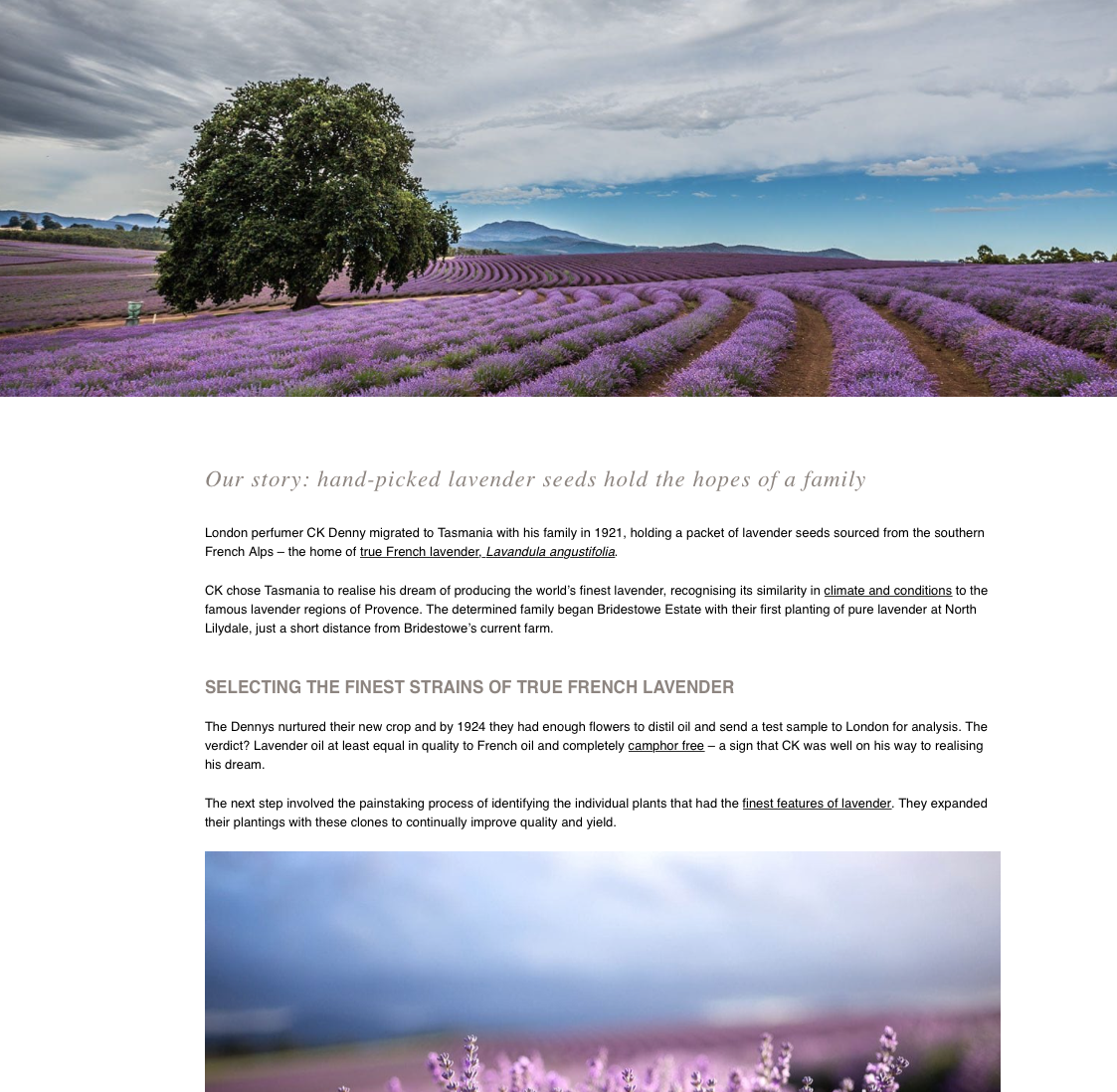 Screen-Shot-2023-04-25-at-113320-am