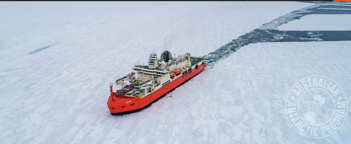 Screen-Shot-2023-04-25-at-94424-am