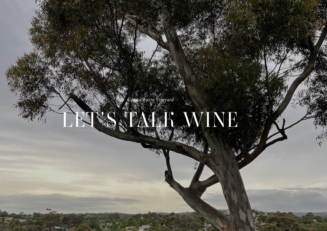 Screen-Shot-2023-05-07-at-102131-am