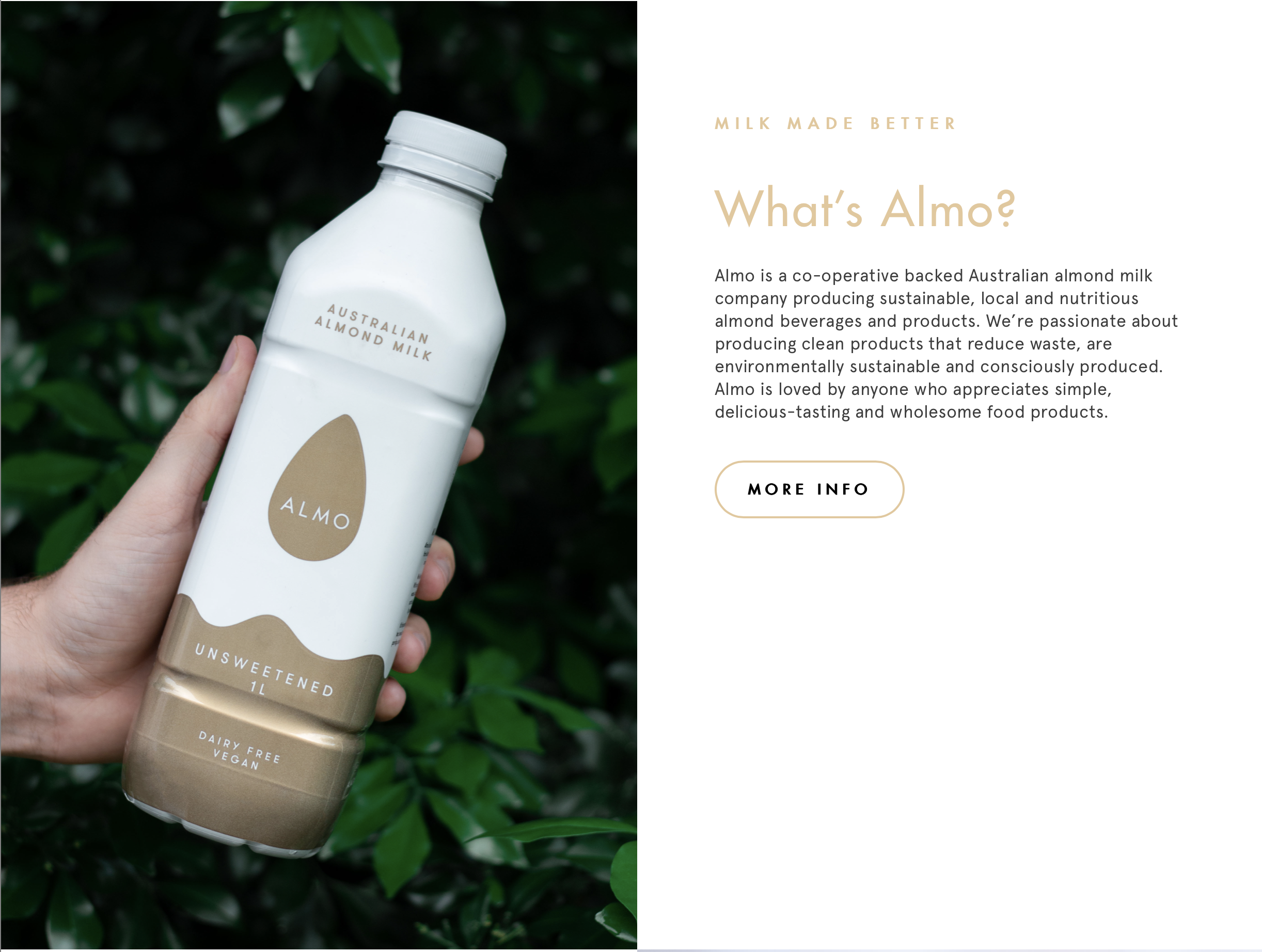 Screen-Shot-2023-05-13-at-10910-pm