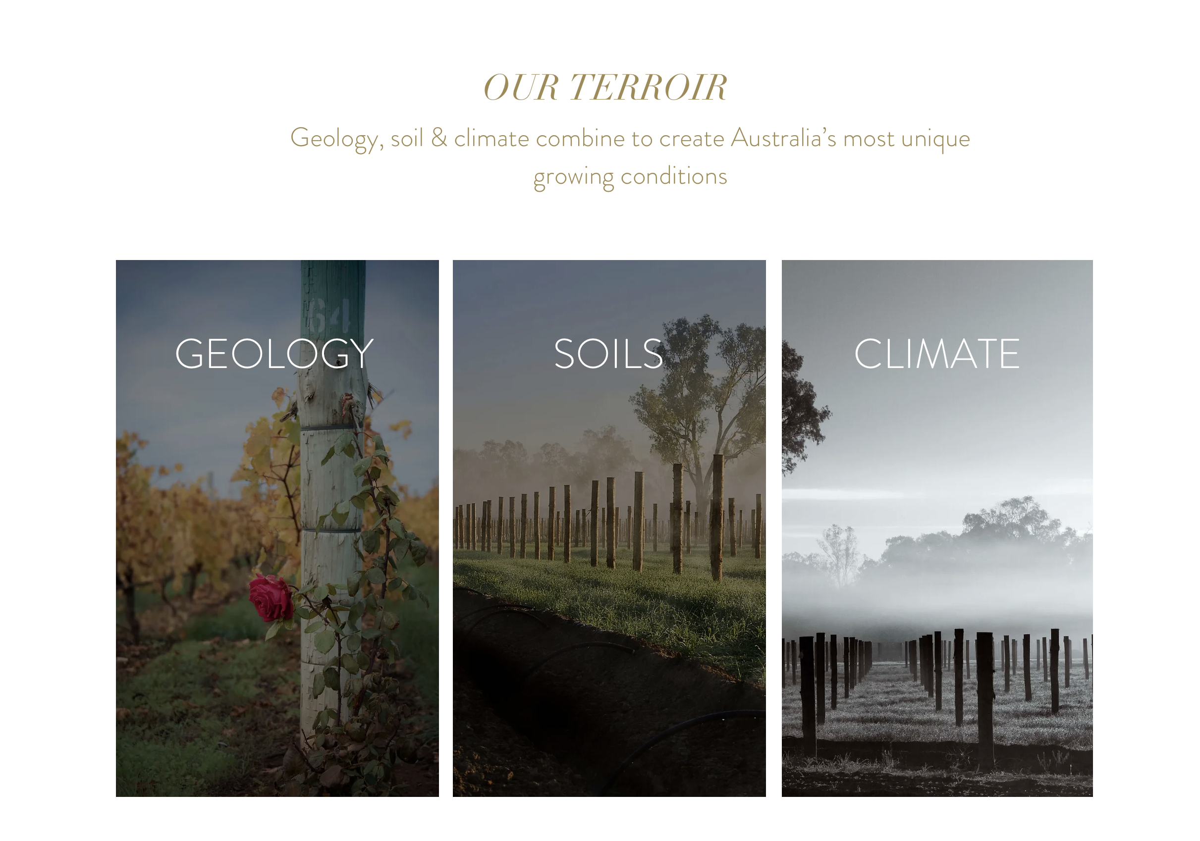 Screen-Shot-2023-05-13-at-11101-pm