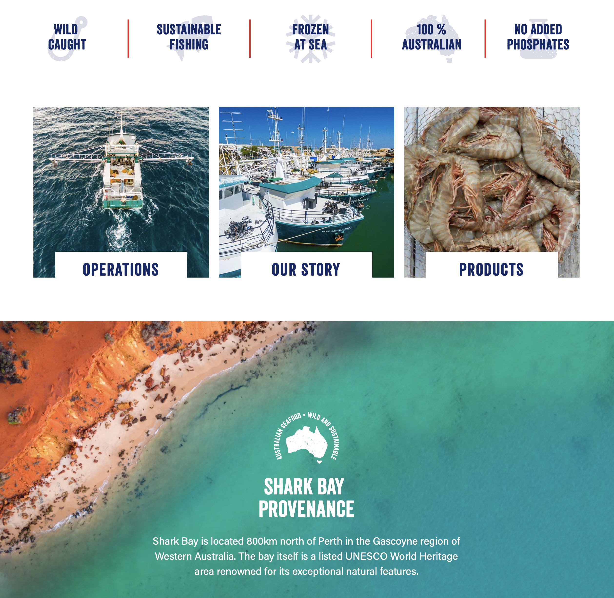 Screen-Shot-2023-05-13-at-41321-pm