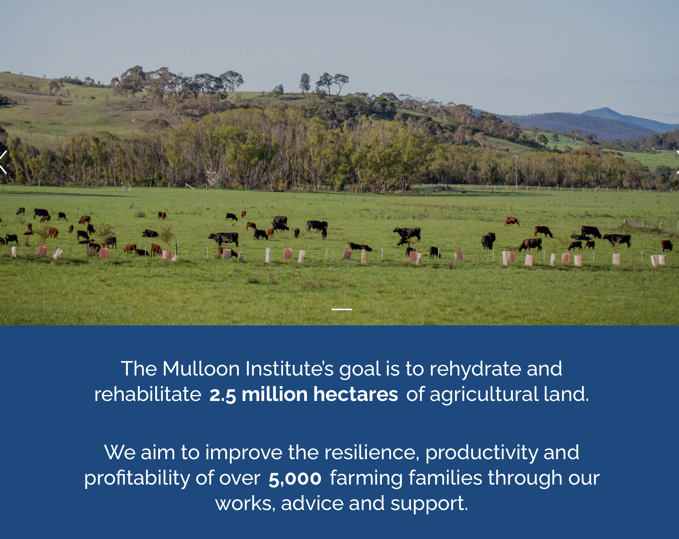 Screenshot-2024-02-04-at-95048-am