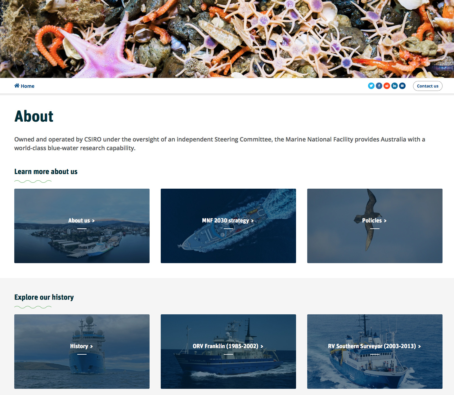 Screen-Shot-2023-04-25-at-54044-pm