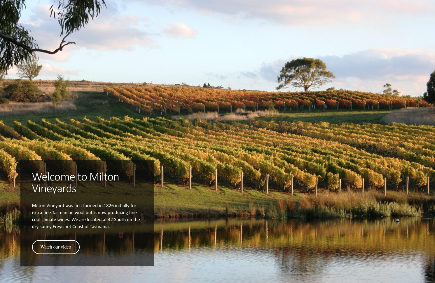 Screen-Shot-2023-04-25-at-54321-pm