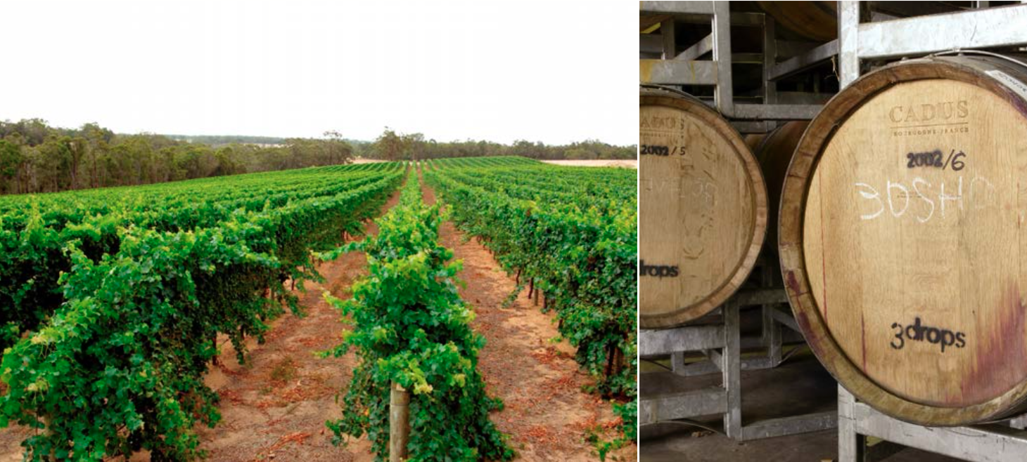 Screen-Shot-2023-04-25-at-101134-am